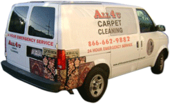 sf_carpet_van